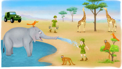 Σκηνή safari